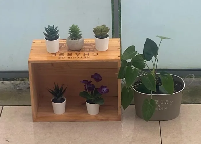 T3 Spacieux Avec 2 Places De Parking Gratuites *